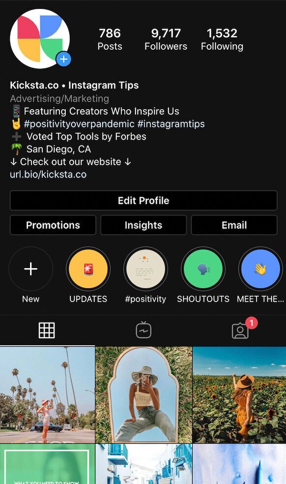 Instagram audit bio