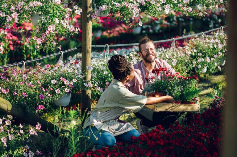 A couple working in their greenhouse
