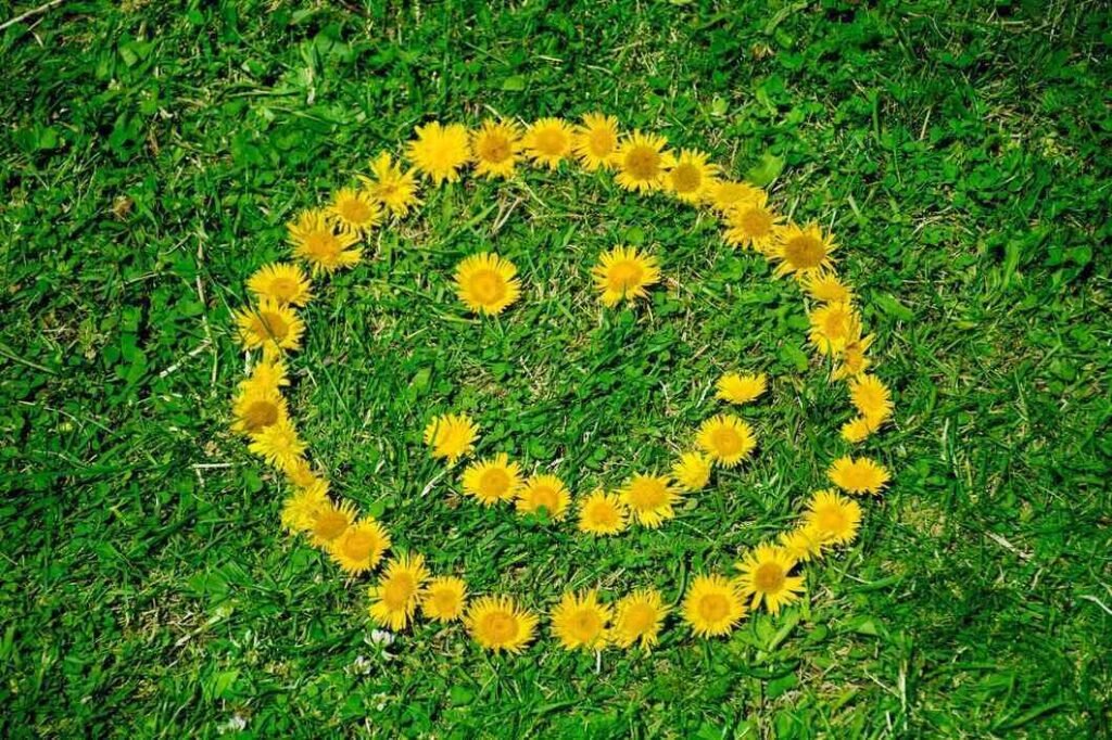 Smiling face out of flowers on the ground